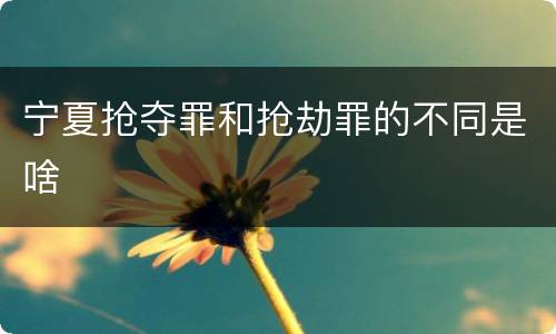 宁夏抢夺罪和抢劫罪的不同是啥