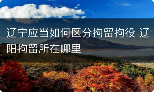 辽宁应当如何区分拘留拘役 辽阳拘留所在哪里