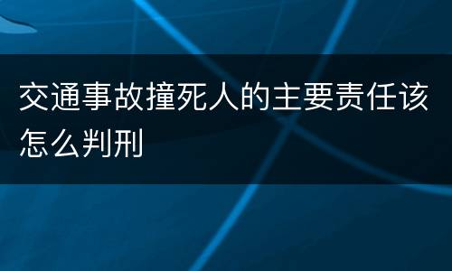 交通事故撞死人的主要责任该怎么判刑