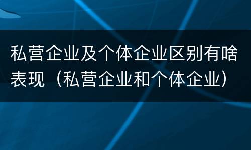 私营企业及个体企业区别有啥表现（私营企业和个体企业）
