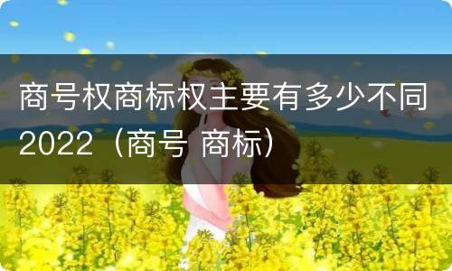 商号权商标权主要有多少不同2022（商号 商标）