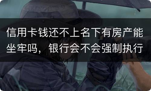 信用卡钱还不上名下有房产能坐牢吗，银行会不会强制执行