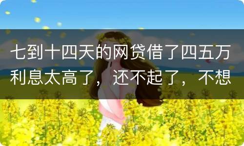 七到十四天的网贷借了四五万利息太高了，还不起了，不想还了可爱吗