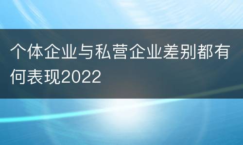 个体企业与私营企业差别都有何表现2022