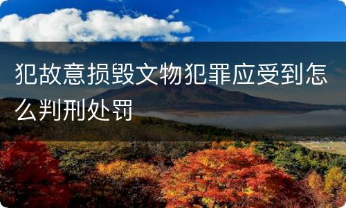 犯故意损毁文物犯罪应受到怎么判刑处罚