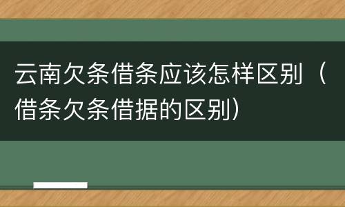 云南欠条借条应该怎样区别（借条欠条借据的区别）