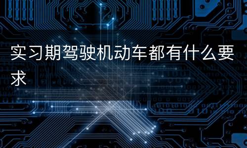实习期驾驶机动车都有什么要求