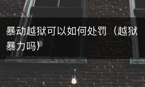 暴动越狱可以如何处罚（越狱暴力吗）