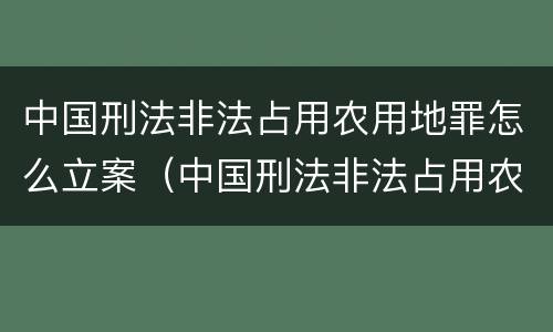 中国刑法非法占用农用地罪怎么立案（中国刑法非法占用农用地罪怎么立案的）