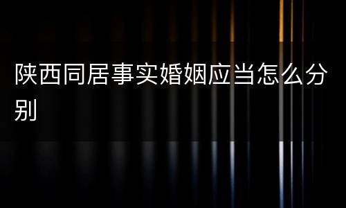陕西同居事实婚姻应当怎么分别