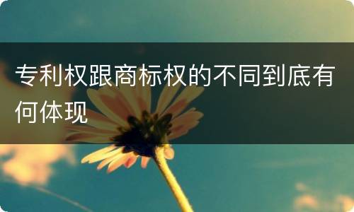 专利权跟商标权的不同到底有何体现