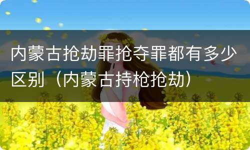 内蒙古抢劫罪抢夺罪都有多少区别（内蒙古持枪抢劫）