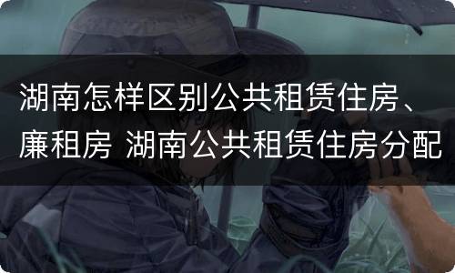 湖南怎样区别公共租赁住房、廉租房 湖南公共租赁住房分配和运营管理办法