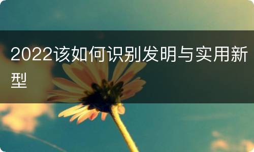 2022该如何识别发明与实用新型