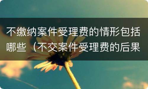 不缴纳案件受理费的情形包括哪些（不交案件受理费的后果）