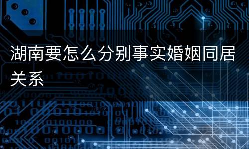 湖南要怎么分别事实婚姻同居关系