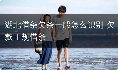 湖北借条欠条一般怎么识别 欠款正规借条