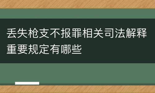 丢失枪支不报罪相关司法解释重要规定有哪些