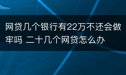 网贷几个银行有22万不还会做牢吗 二十几个网贷怎么办