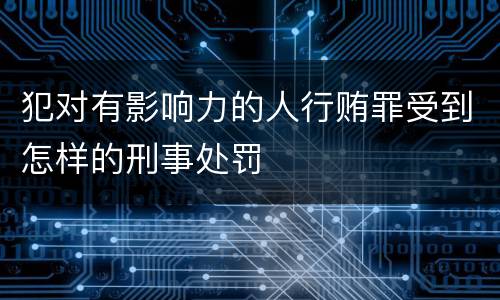 犯对有影响力的人行贿罪受到怎样的刑事处罚