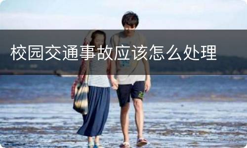 校园交通事故应该怎么处理
