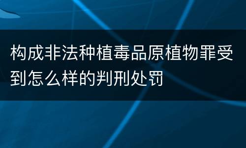 构成非法种植毒品原植物罪受到怎么样的判刑处罚