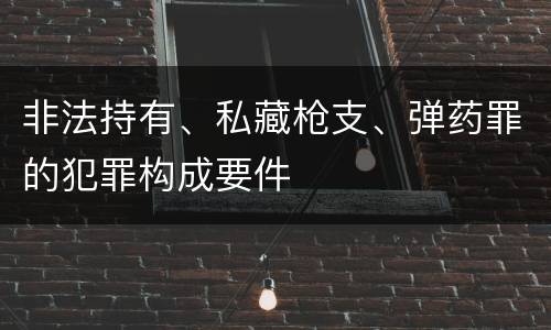 非法持有、私藏枪支、弹药罪的犯罪构成要件