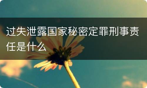 过失泄露国家秘密定罪刑事责任是什么