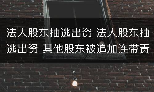 法人股东抽逃出资 法人股东抽逃出资 其他股东被追加连带责任