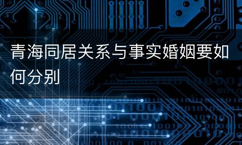 青海同居关系与事实婚姻要如何分别