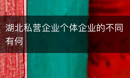 湖北私营企业个体企业的不同有何