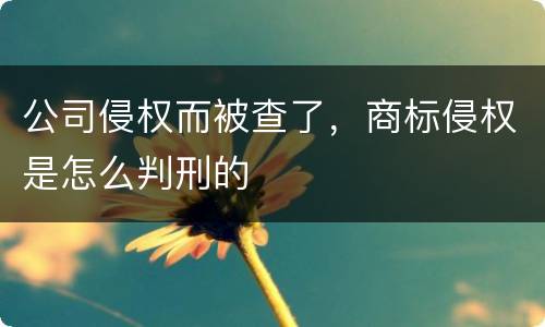公司侵权而被查了，商标侵权是怎么判刑的