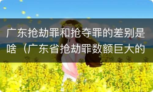 广东抢劫罪和抢夺罪的差别是啥（广东省抢劫罪数额巨大的标准）