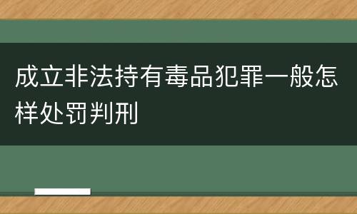 成立非法持有毒品犯罪一般怎样处罚判刑
