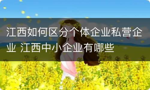 江西如何区分个体企业私营企业 江西中小企业有哪些