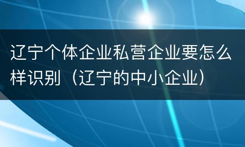 辽宁个体企业私营企业要怎么样识别（辽宁的中小企业）