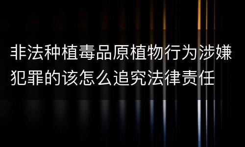 非法种植毒品原植物行为涉嫌犯罪的该怎么追究法律责任