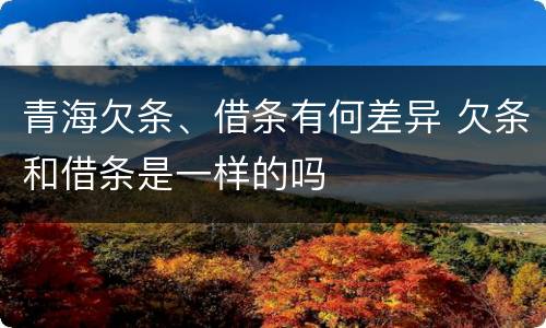 青海欠条、借条有何差异 欠条和借条是一样的吗
