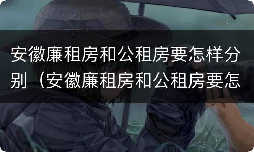 安徽廉租房和公租房要怎样分别（安徽廉租房和公租房要怎样分别呢）