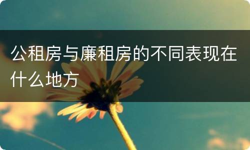 公租房与廉租房的不同表现在什么地方