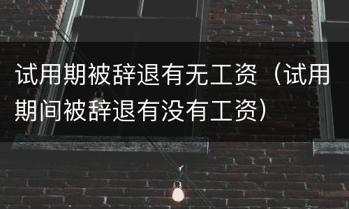 试用期被辞退有无工资（试用期间被辞退有没有工资）