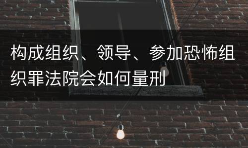 构成组织、领导、参加恐怖组织罪法院会如何量刑