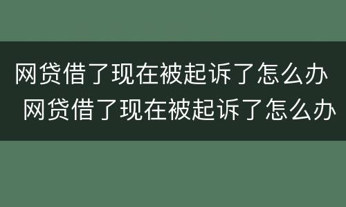 网贷借了现在被起诉了怎么办 网贷借了现在被起诉了怎么办理