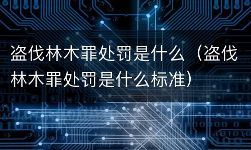 盗伐林木罪处罚是什么（盗伐林木罪处罚是什么标准）