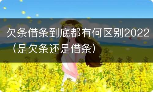 欠条借条到底都有何区别2022（是欠条还是借条）