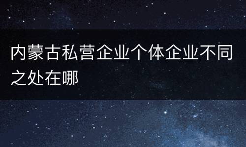 内蒙古私营企业个体企业不同之处在哪