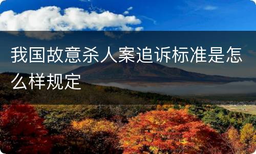 我国故意杀人案追诉标准是怎么样规定