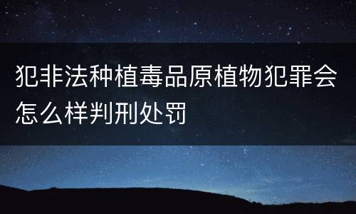 犯非法种植毒品原植物犯罪会怎么样判刑处罚