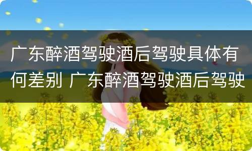广东醉酒驾驶酒后驾驶具体有何差别 广东醉酒驾驶酒后驾驶具体有何差别呢