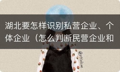 湖北要怎样识别私营企业、个体企业（怎么判断民营企业和私营企业）